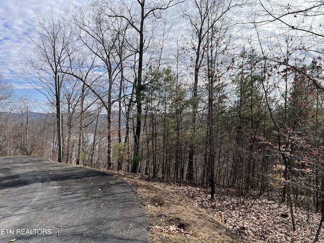 1412 Echota Ln, Mooresburg, TN 37811 - photo 2