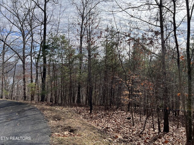1412 Echota Ln, Mooresburg, TN 37811 - photo 3