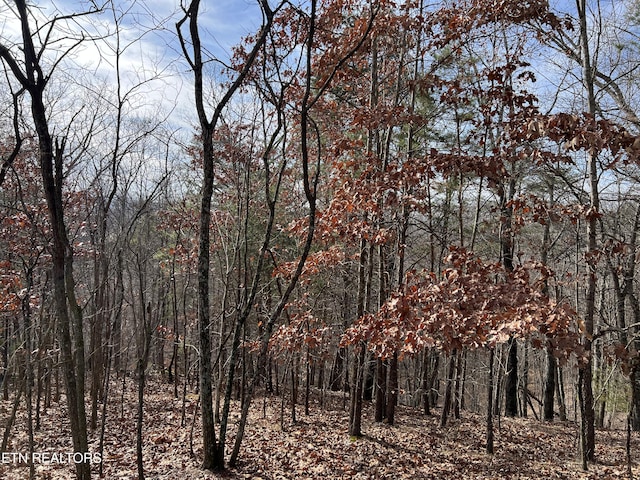 1412 Echota Ln, Mooresburg, TN 37811 - photo 4