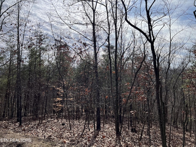 1412 Echota Ln, Mooresburg, TN 37811 - photo 5