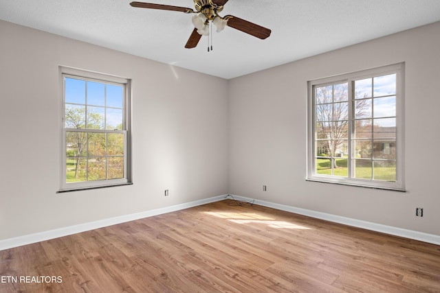 319 Kenmark Dr, Maryville, TN 37803 - photo 13