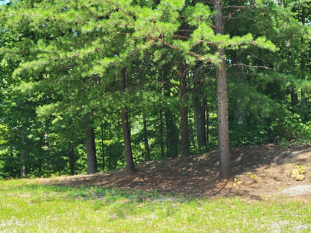 Hickory Tree St, Sevierville, TN 37876