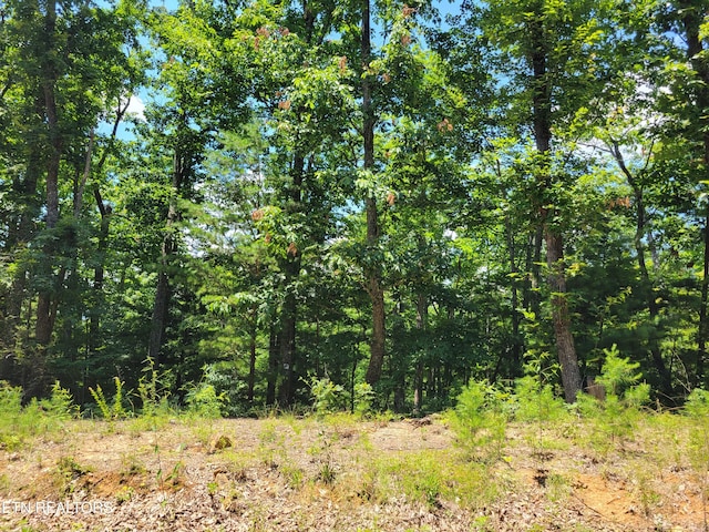 Hickory Tree St, Sevierville, TN 37876