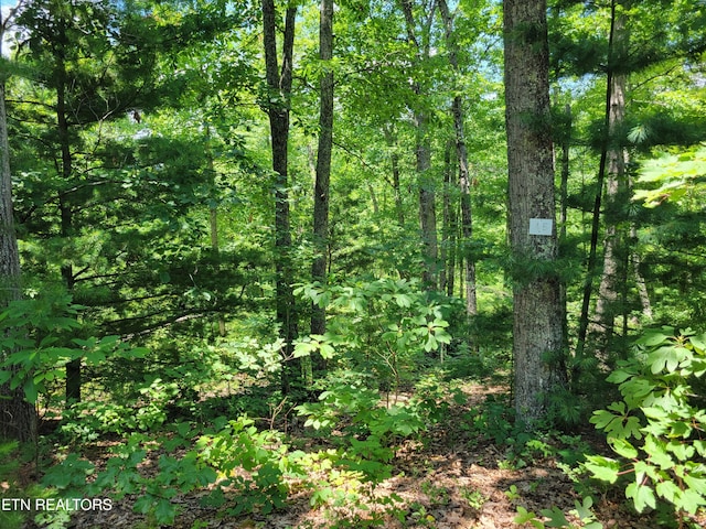 Hickory Tree St, Sevierville, TN 37876