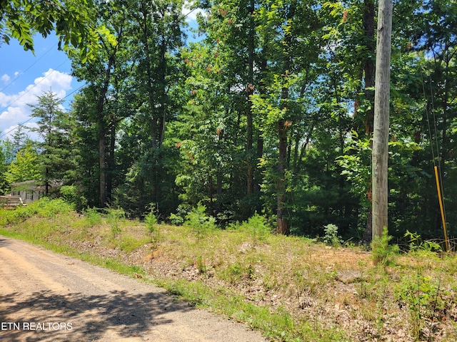 Hickory Tree St, Sevierville, TN 37876