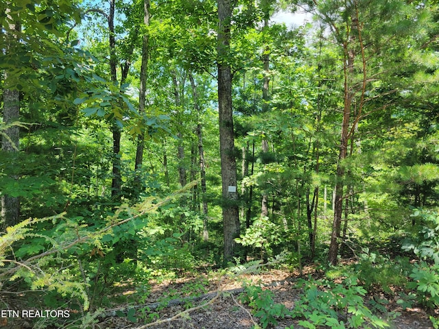 Hickory Tree St, Sevierville, TN 37876