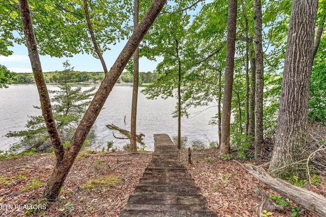 198 Peninsula Rd, Rockwood, TN 37854 - photo 17