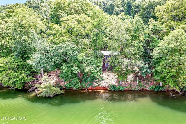 198 Peninsula Rd, Rockwood, TN 37854 - photo 29
