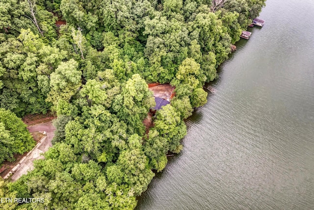 198 Peninsula Rd, Rockwood, TN 37854 - photo 31