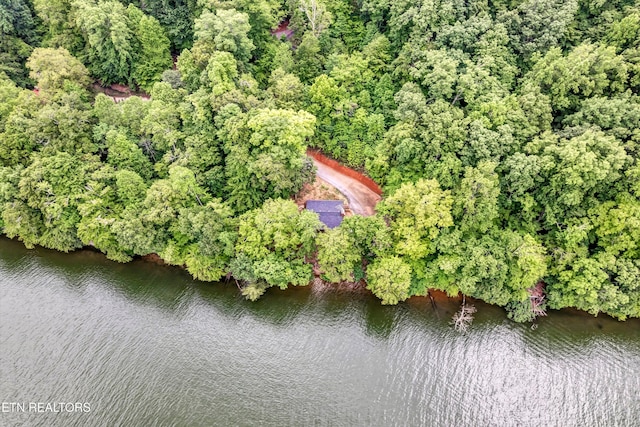 198 Peninsula Rd, Rockwood, TN 37854 - photo 32