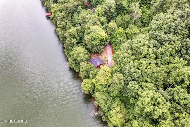 198 Peninsula Rd, Rockwood, TN 37854 - photo 33