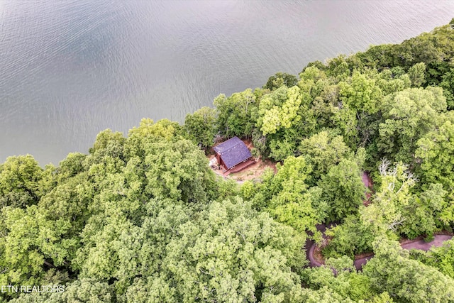 198 Peninsula Rd, Rockwood, TN 37854 - photo 34