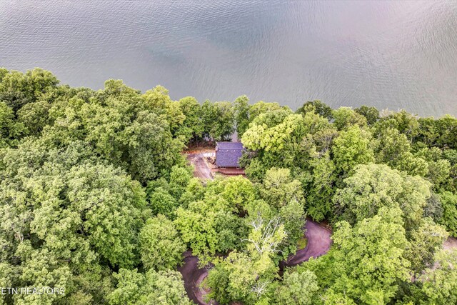 198 Peninsula Rd, Rockwood, TN 37854 - photo 35