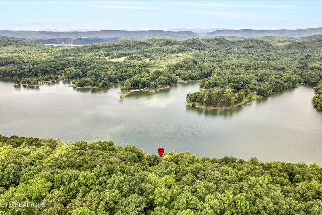 198 Peninsula Rd, Rockwood, TN 37854 - photo 36