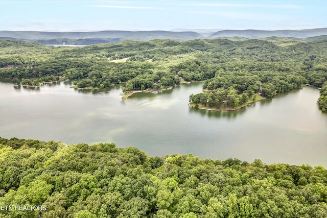 198 Peninsula Rd, Rockwood, TN 37854 - photo 37
