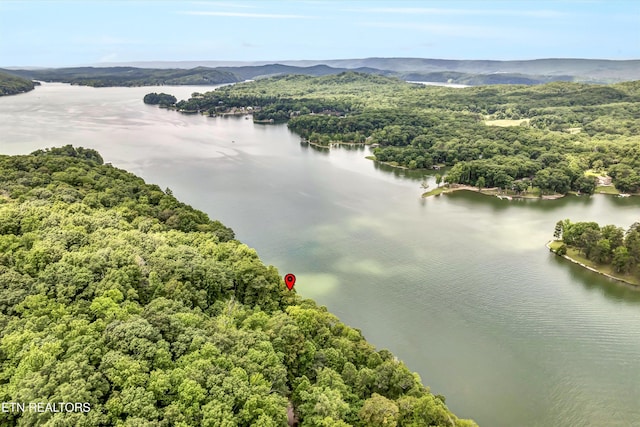 198 Peninsula Rd, Rockwood, TN 37854 - photo 38