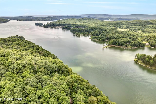 198 Peninsula Rd, Rockwood, TN 37854 - photo 39