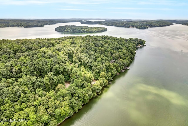 198 Peninsula Rd, Rockwood, TN 37854 - photo 41