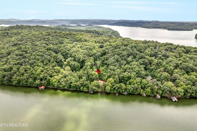 198 Peninsula Rd, Rockwood, TN 37854 - photo 42