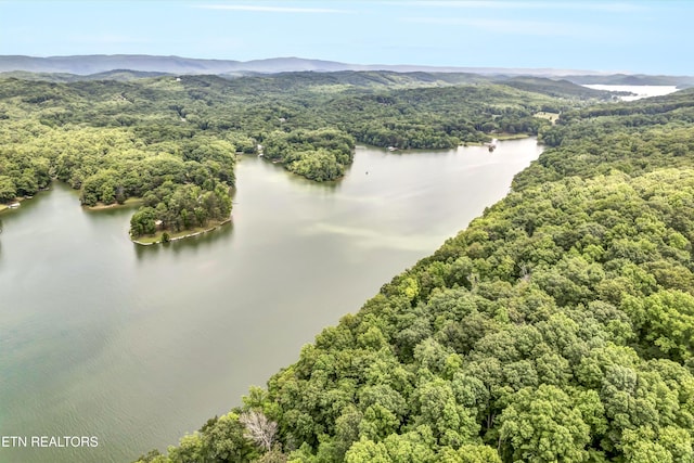 198 Peninsula Rd, Rockwood, TN 37854 - photo 44