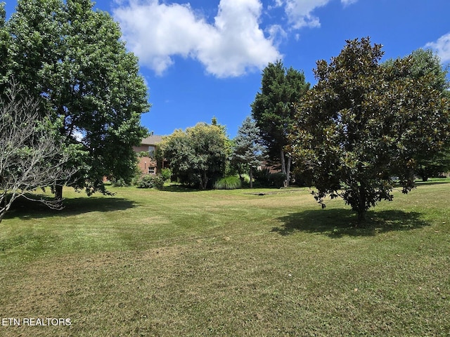 7329 Sweetbriar Dr, Talbott, TN 37877 - photo 10