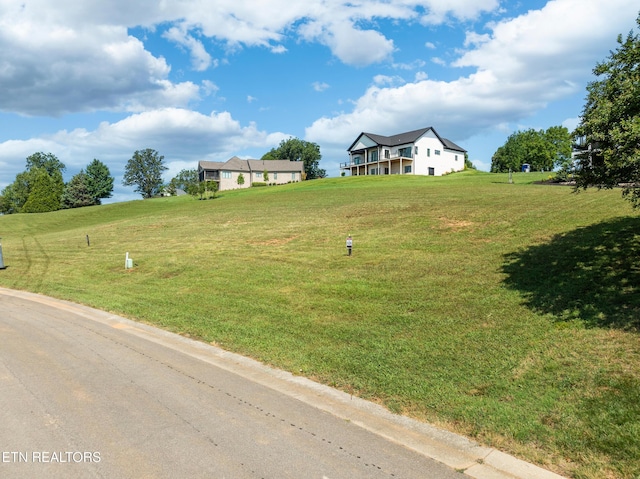 439 Chestnut Ln, Loudon, TN 37774 - photo 3