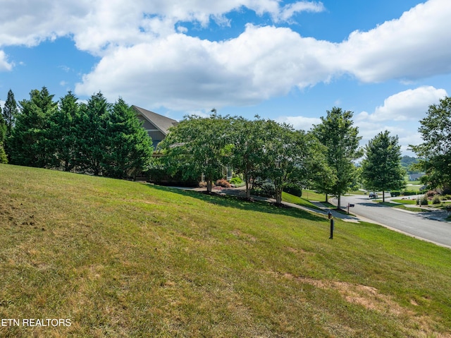 439 Chestnut Ln, Loudon, TN 37774 - photo 4