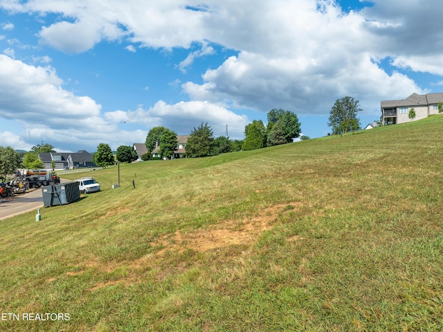 439 Chestnut Ln, Loudon, TN 37774 - photo 5