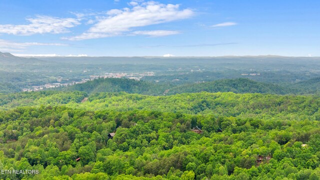 1830 Cherry View Ln, Sevierville, TN 37876 - photo 2