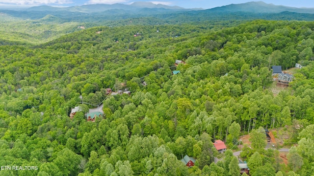 1830 Cherry View Ln, Sevierville, TN 37876 - photo 3