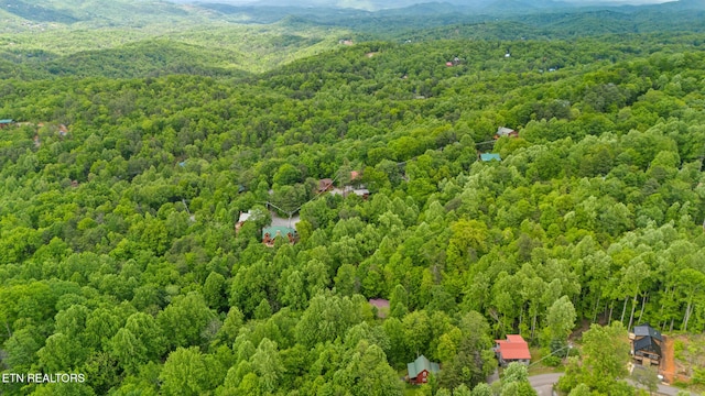 1830 Cherry View Ln, Sevierville, TN 37876 - photo 4