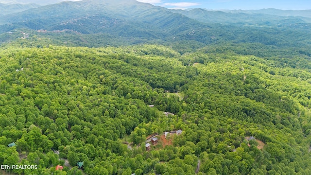 1830 Cherry View Ln, Sevierville, TN 37876 - photo 5