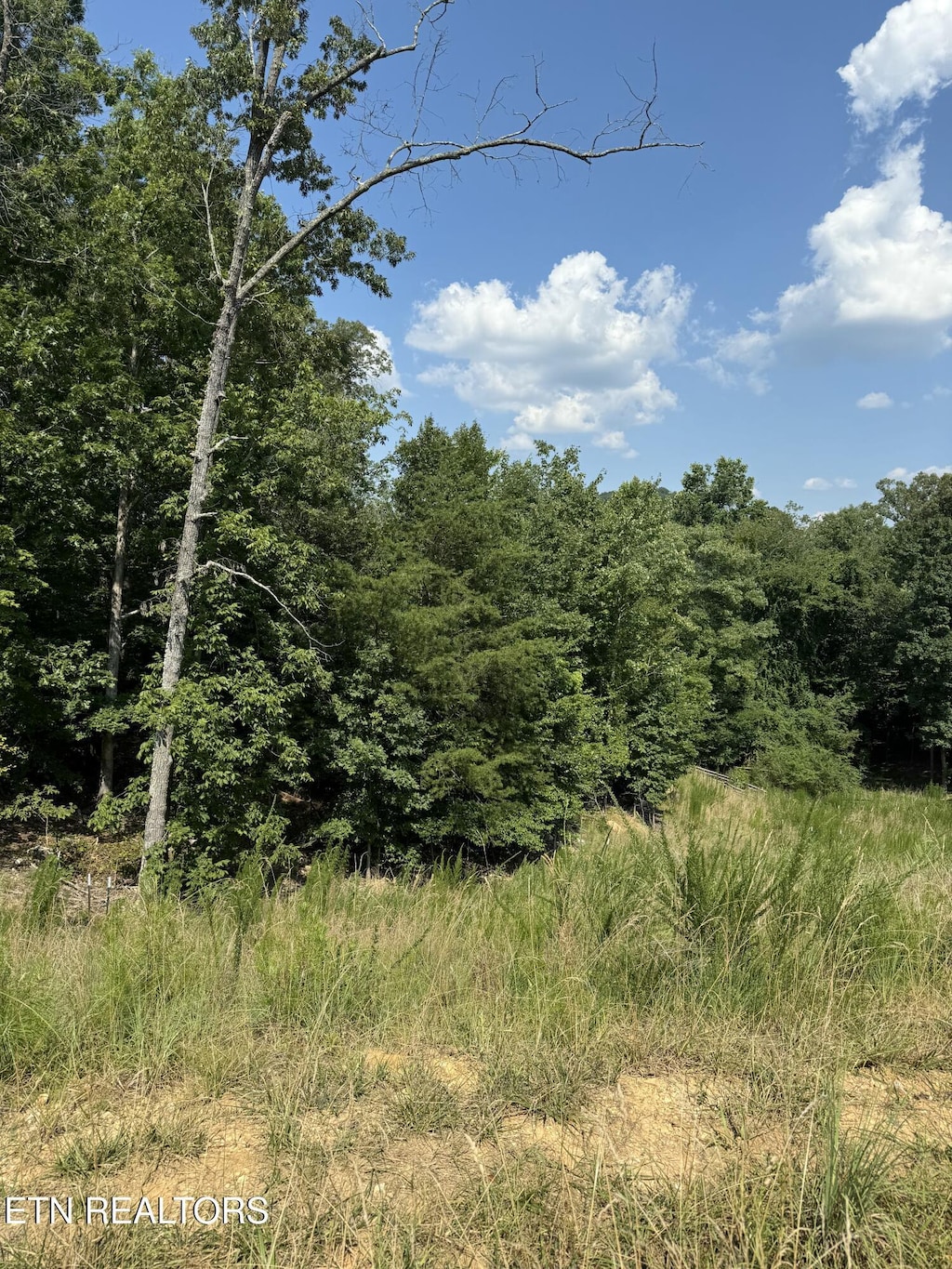 1534 N Wilkerson Rd, Knoxville, TN 37922 - photo 4