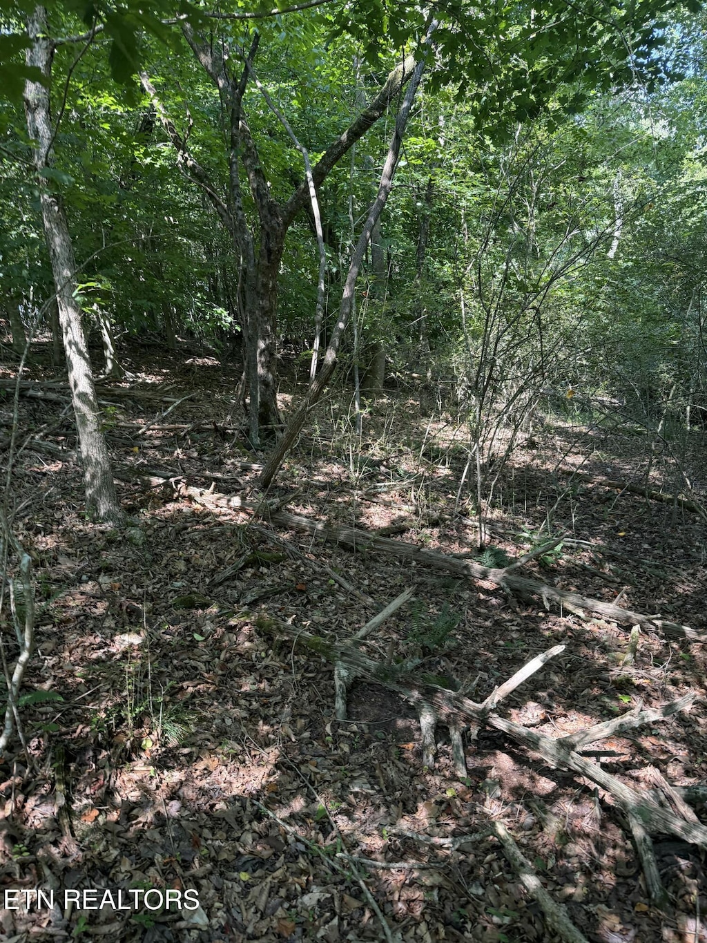 1534 N Wilkerson Rd, Knoxville, TN 37922 - photo 3