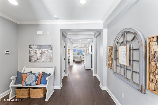 1273 Bishops View Ln, Knoxville, TN 37932 - corridor with wood finished floors and crown molding