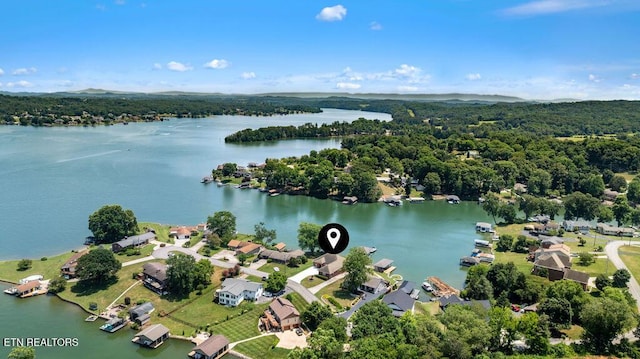 3640 Sandy Shore Dr, Lenoir City, TN 37772 - photo 5