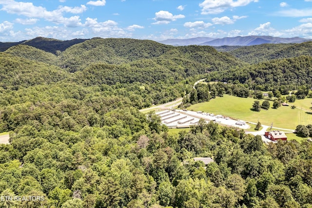 224 W Millers Cove Rd, Walland, TN 37886 - photo 39