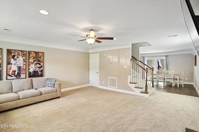 7410 Rose Water Ln, Knoxville, TN 37924 - photo 6