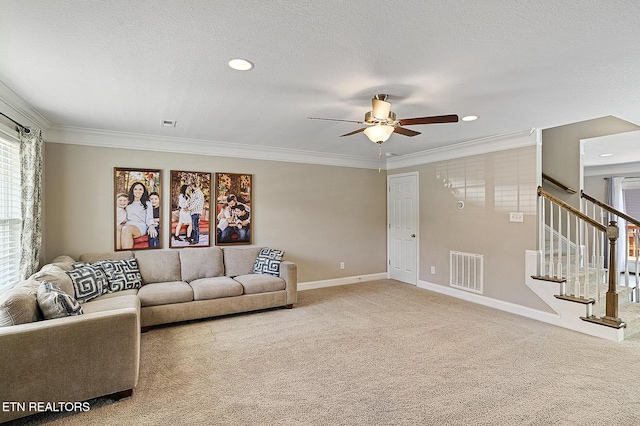 7410 Rose Water Ln, Knoxville, TN 37924 - photo 7