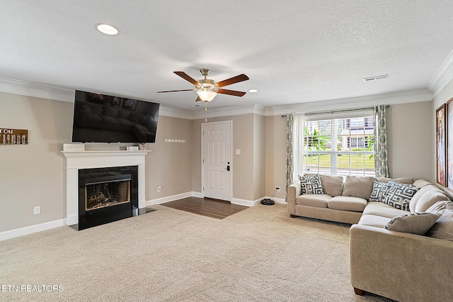7410 Rose Water Ln, Knoxville, TN 37924 - photo 9