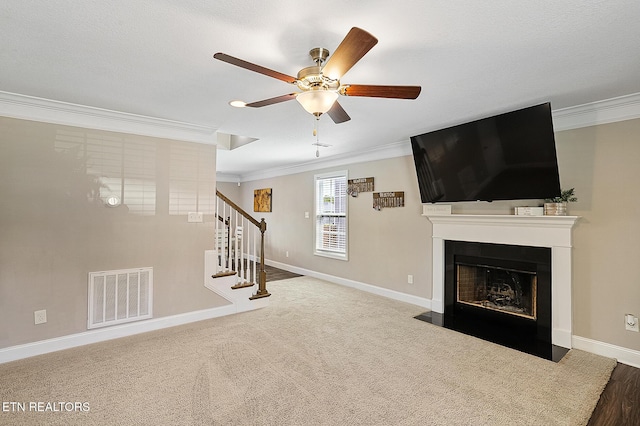 7410 Rose Water Ln, Knoxville, TN 37924 - photo 10