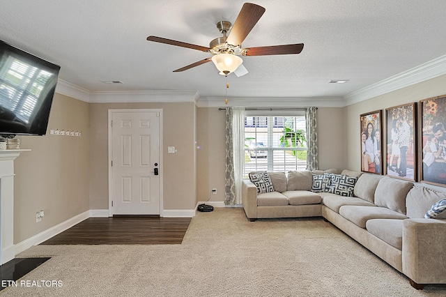 7410 Rose Water Ln, Knoxville, TN 37924 - photo 11