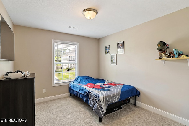 7410 Rose Water Ln, Knoxville, TN 37924 - photo 31