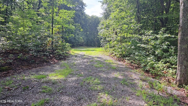 305 Rocky Creek Dr, Crossville, TN 38572 - photo 2