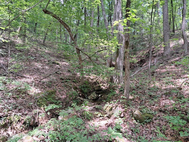 305 Rocky Creek Dr, Crossville, TN 38572 - photo 3