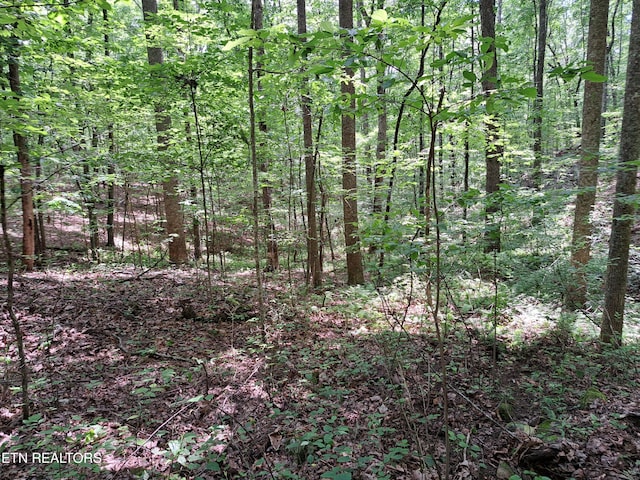 305 Rocky Creek Dr, Crossville, TN 38572 - photo 5