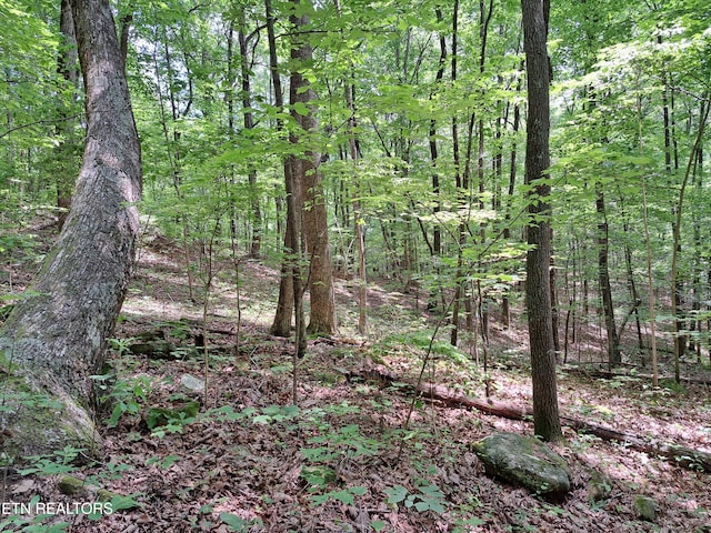 305 Rocky Creek Dr, Crossville, TN 38572 - photo 9
