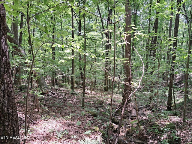 305 Rocky Creek Dr, Crossville, TN 38572 - photo 10