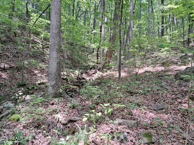 305 Rocky Creek Dr, Crossville, TN 38572 - photo 12
