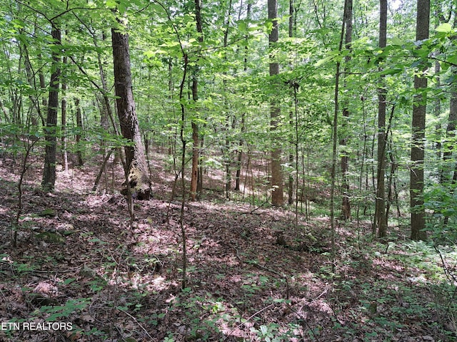 305 Rocky Creek Dr, Crossville, TN 38572 - photo 17